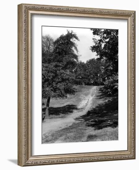 Hampstead Heath-Fred Musto-Framed Photographic Print