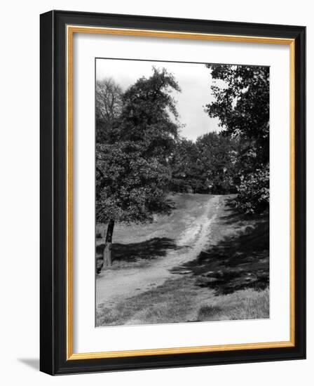 Hampstead Heath-Fred Musto-Framed Photographic Print