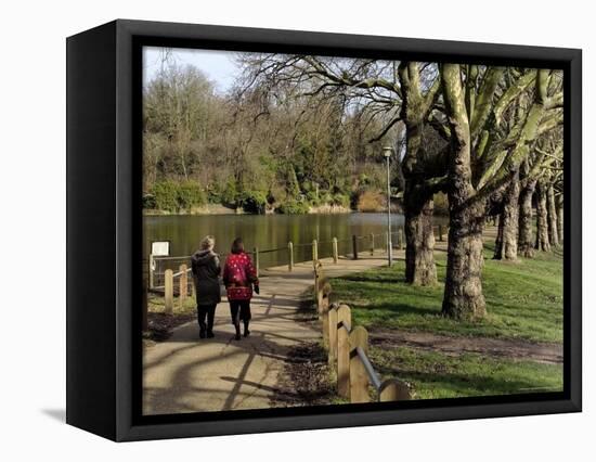 Hampstead Ponds, Hampstead Heath, London, England, United Kingdom-David Hughes-Framed Premier Image Canvas