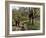 Hampstead Ponds, Hampstead Heath, London, England, United Kingdom-David Hughes-Framed Photographic Print