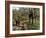 Hampstead Ponds, Hampstead Heath, London, England, United Kingdom-David Hughes-Framed Photographic Print