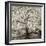 Hamption Magnolia II-Alan Blaustein-Framed Photographic Print