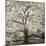 Hamption Magnolia II-Alan Blaustein-Mounted Photographic Print