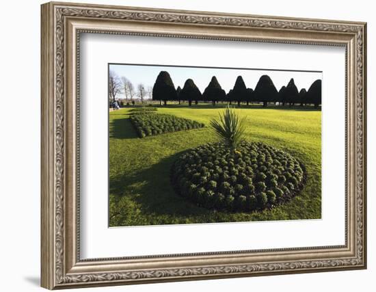Hampton Court formal gardens-Charles Bowman-Framed Photographic Print