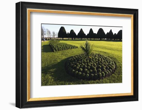 Hampton Court formal gardens-Charles Bowman-Framed Photographic Print