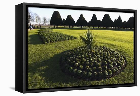 Hampton Court formal gardens-Charles Bowman-Framed Premier Image Canvas