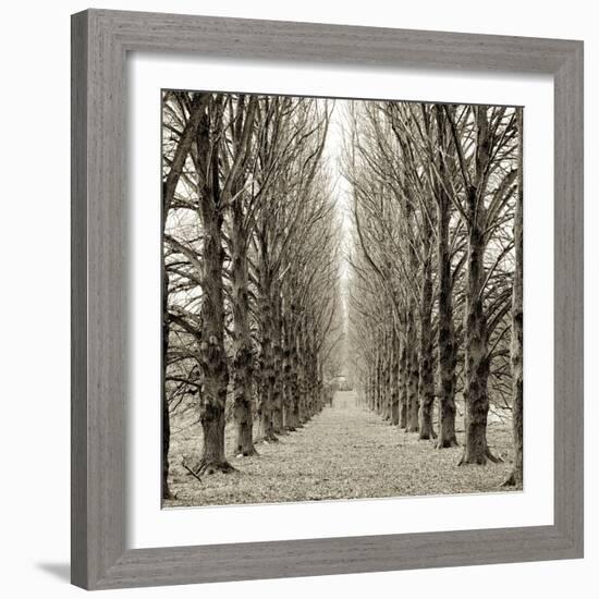 Hampton Gates Promenade III-Alan Blaustein-Framed Photographic Print