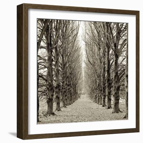 Hampton Gates Promenade III-Alan Blaustein-Framed Photographic Print