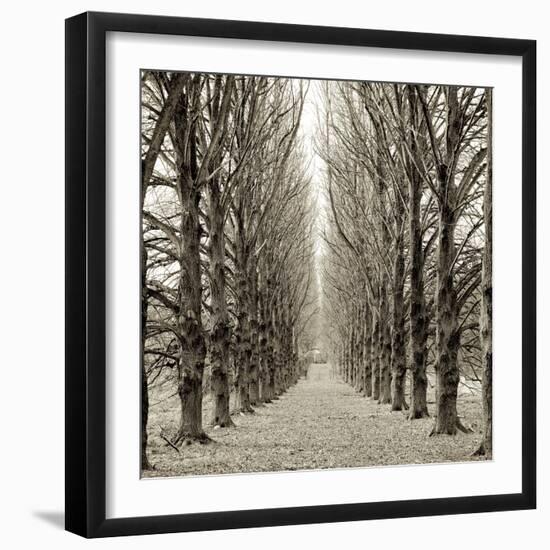 Hampton Gates Promenade III-Alan Blaustein-Framed Photographic Print