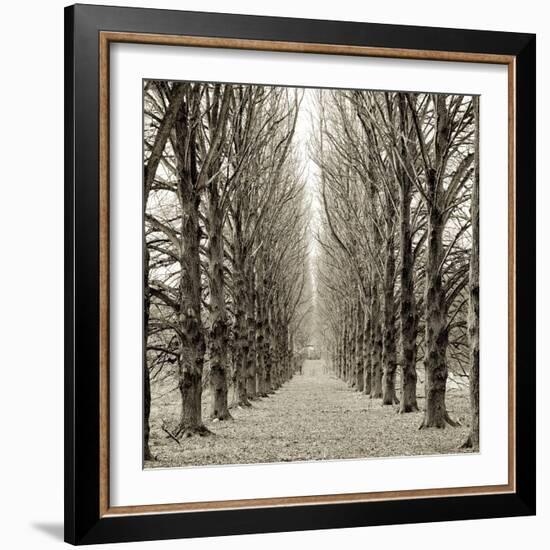 Hampton Gates Promenade III-Alan Blaustein-Framed Photographic Print