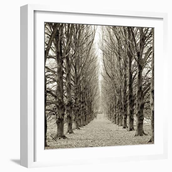 Hampton Gates Promenade III-Alan Blaustein-Framed Photographic Print