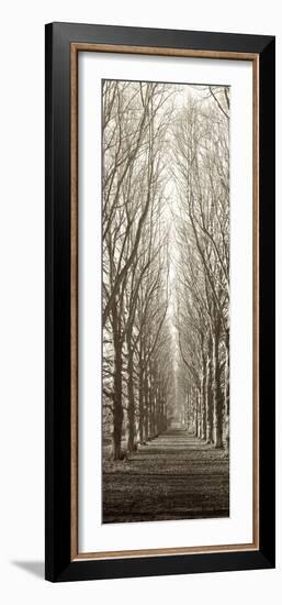 Hampton Gates Promenade-Alan Blaustein-Framed Photographic Print