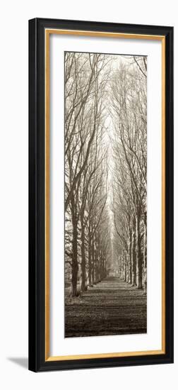 Hampton Gates Promenade-Alan Blaustein-Framed Photographic Print