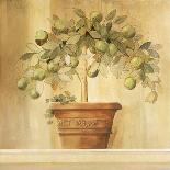 Lime Topiary-Hampton Hall-Giclee Print