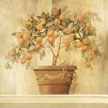 Orange Topiary-Hampton Hall-Framed Premium Giclee Print