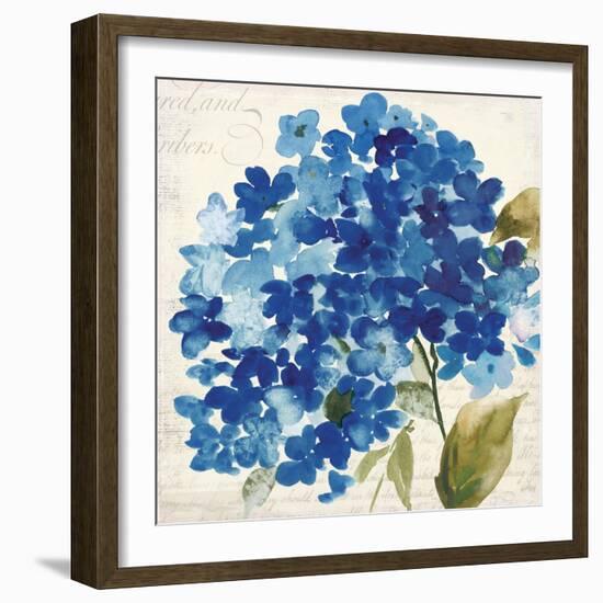 Hampton Hydrangea II-Asia Jensen-Framed Art Print