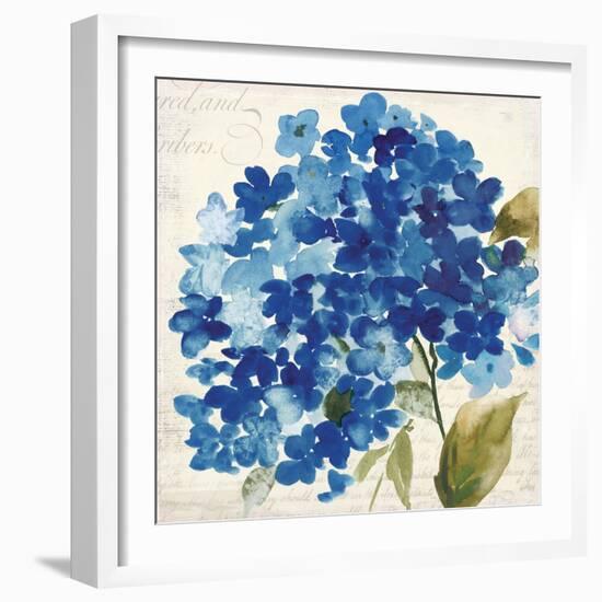 Hampton Hydrangea II-Asia Jensen-Framed Art Print