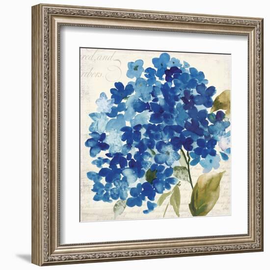 Hampton Hydrangea II-Asia Jensen-Framed Art Print