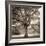 Hampton Maple #1-Alan Blaustein-Framed Photographic Print