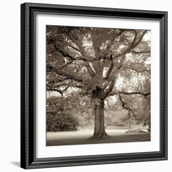 Hampton Maple #1-Alan Blaustein-Framed Photographic Print