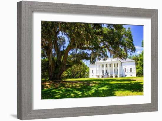 Hampton Plantation-Alan Hausenflock-Framed Photo