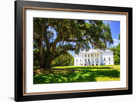 Hampton Plantation-Alan Hausenflock-Framed Photo