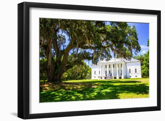 Hampton Plantation-Alan Hausenflock-Framed Photo