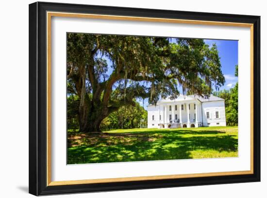 Hampton Plantation-Alan Hausenflock-Framed Photo