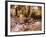 Hams, Jamon and Cheese Stall, La Boqueria, Market, Barcelona, Catalonia, Spain, Europe-Martin Child-Framed Photographic Print