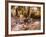 Hams, Jamon and Cheese Stall, La Boqueria, Market, Barcelona, Catalonia, Spain, Europe-Martin Child-Framed Photographic Print