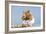 Hamster and Nuts-null-Framed Photographic Print