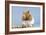 Hamster and Nuts-null-Framed Photographic Print