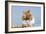 Hamster and Nuts-null-Framed Photographic Print