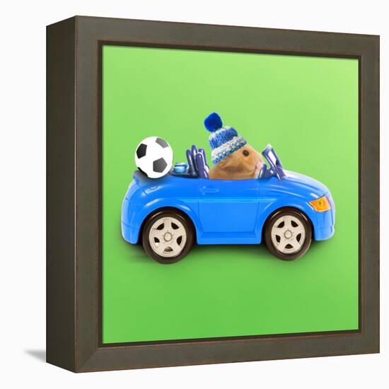 Hamster Driving Miniature Sports Convertible Car-null-Framed Premier Image Canvas