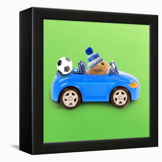 Hamster Driving Miniature Sports Convertible Car-null-Framed Premier Image Canvas