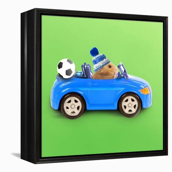 Hamster Driving Miniature Sports Convertible Car-null-Framed Premier Image Canvas