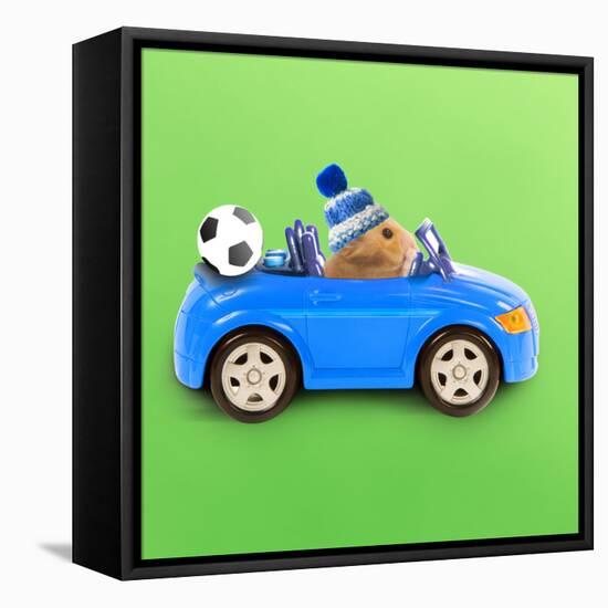 Hamster Driving Miniature Sports Convertible Car-null-Framed Premier Image Canvas