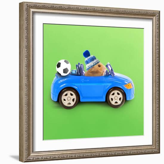 Hamster Driving Miniature Sports Convertible Car-null-Framed Photographic Print