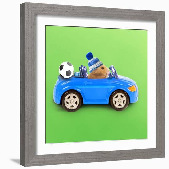 Hamster Driving Miniature Sports Convertible Car-null-Framed Photographic Print