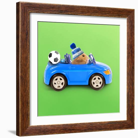 Hamster Driving Miniature Sports Convertible Car-null-Framed Photographic Print