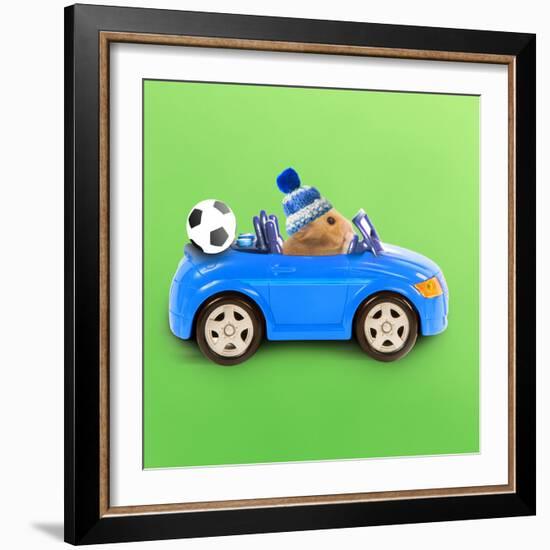 Hamster Driving Miniature Sports Convertible Car-null-Framed Photographic Print