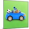 Hamster Driving Miniature Sports Convertible Car-null-Mounted Photographic Print