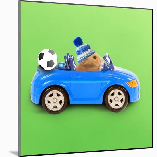 Hamster Driving Miniature Sports Convertible Car-null-Mounted Photographic Print