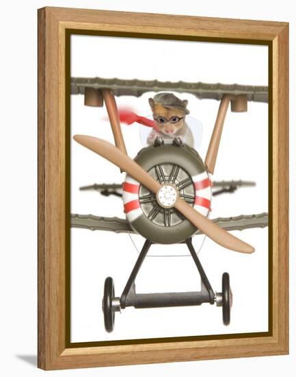 Hamster Flying Aeroplane-null-Framed Premier Image Canvas