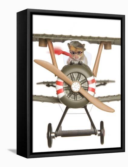 Hamster Flying Aeroplane-null-Framed Premier Image Canvas