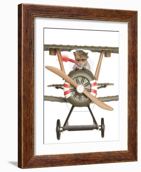 Hamster Flying Aeroplane-null-Framed Photographic Print