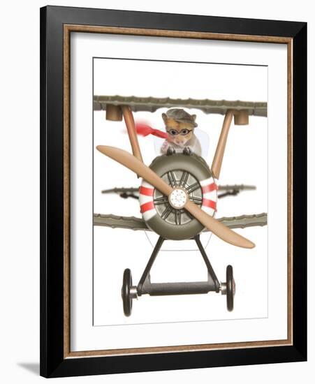 Hamster Flying Aeroplane-null-Framed Photographic Print