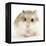 Hamster Roborovski-null-Framed Premier Image Canvas
