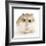 Hamster Roborovski-null-Framed Photographic Print