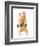 Hamster With Bar Isolated On White-IgorKovalchuk-Framed Photographic Print